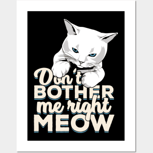 Don't Bother Me Right Meow Cat Owner Gift Posters and Art